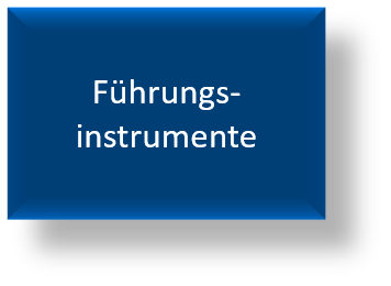 Führungsinstrumente