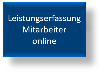 Leistungserfassung online