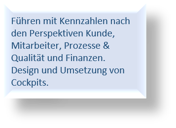 Management Informationssystem_Text