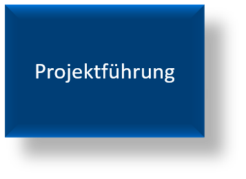Projektführung