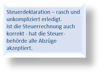 Steuerdeklaration_Beschreibung