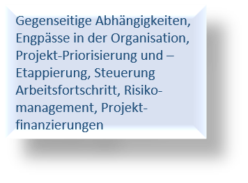 Ausgestaltung Projektportfolio-Steuerung_Text